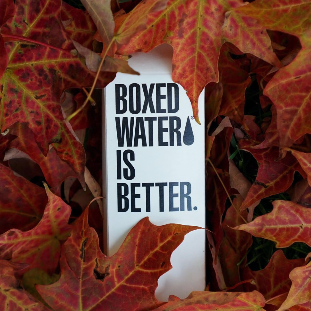 boxed-water-is-better-mX_jnMXOXrg-unsplash